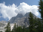 Pelmetto.