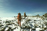 Pod Top Hut