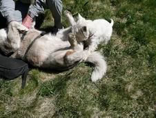 Wendymu nevad�, �e Kiminka je kus v��ia