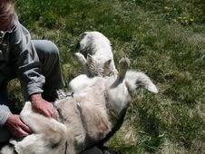 Wendy mal �um��ik na t�chto miestach aj pri behu na t�rach ...