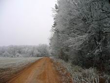 Tto cesta ma doviedla do Schengenu