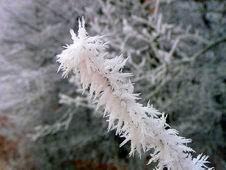 Aj prroda oslavovala